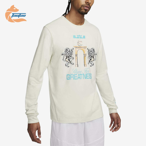Nike/耐克正品男士运动休闲舒适柔软圆领长袖T恤FQ4908-020