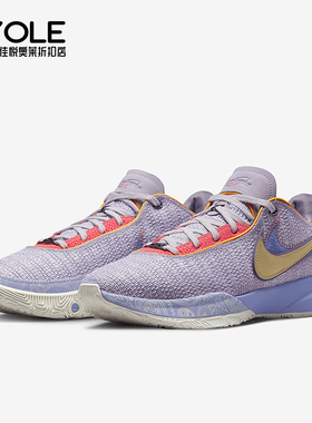 Nike/耐克正品LeBron 20 Violet Frost男士篮球鞋DJ5423-500