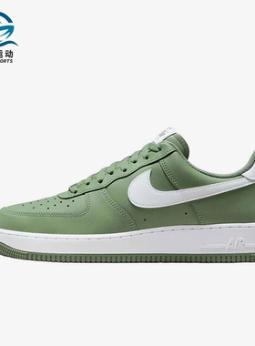 Nike/耐克正品2025秋季款男士日常低帮系带透气板鞋FJ4146-301