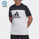 阿迪达斯正品 新款 男大童运动短袖 Adidas T恤DV2917 DV2920