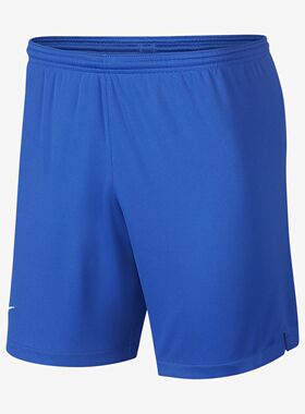 Nike/耐克正品26夏赛季上海绿地申花男子主客场运动短裤 AR4505