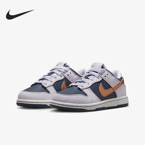 Nike/耐克正品 DUNK LOW SE 儿童休闲运动低帮板鞋DX1664-400
