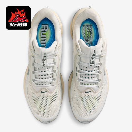 Nike/耐克正品Pegasus Premium男士耐磨气垫减震跑步鞋IQ0307-094