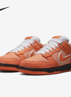 Nike/耐克正品Dunk SB Low男女耐磨休闲低帮板鞋FD8776-800