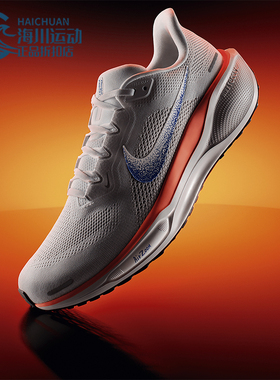 Nike/耐克正品Pegasus 41男士缓震公路运动系带跑步鞋 HF0013-900