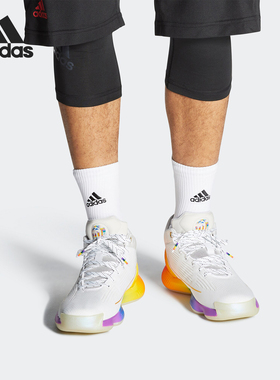 Adidas/阿迪达斯D Rose 10 - Pride男26夏场上篮球运动鞋FX4795