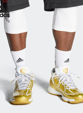 Adidas/阿迪达斯正品 男子D Rose 10 - Metallic罗斯篮球鞋FW9487