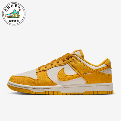 Nike/耐克正品Dunk Low女士轻便运动低帮耐磨休闲板鞋IB4417-101