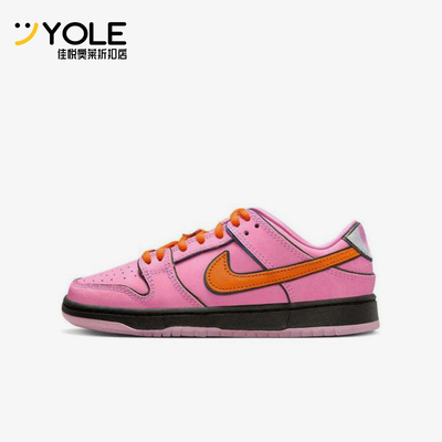 Nike/耐克正品Dunk SB 小童日常低帮潮流经典复古板鞋FZ3351-600