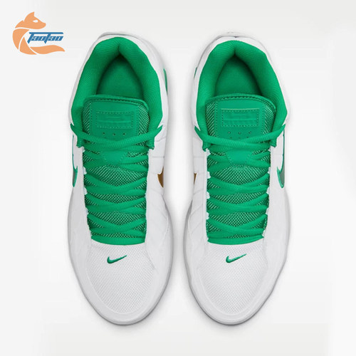 Nike/耐克正品LEBRON WITNESS IX EP男士经典篮球鞋HQ8035-101