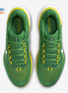 Nike/耐克正品Pegasus 41男士低帮运动减震耐磨跑步鞋FZ5138-300