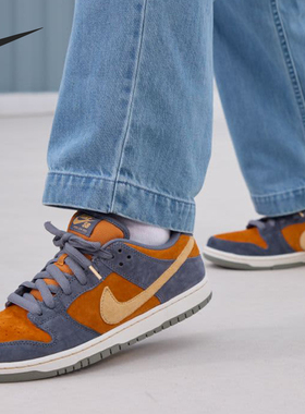 Nike/耐克正品SB Dunk Low Pro男女复古休闲板鞋HF3063-002