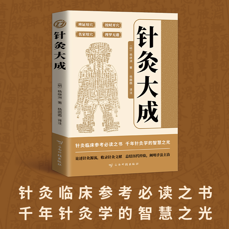 正版 针灸大成 艾灸中医针灸基础理论临床医学大全针灸学