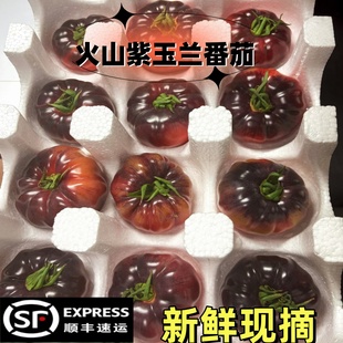 顺丰山东紫罗兰番茄丑马蹄鹅肝番茄紫元帅西红柿火山番现摘新鲜大