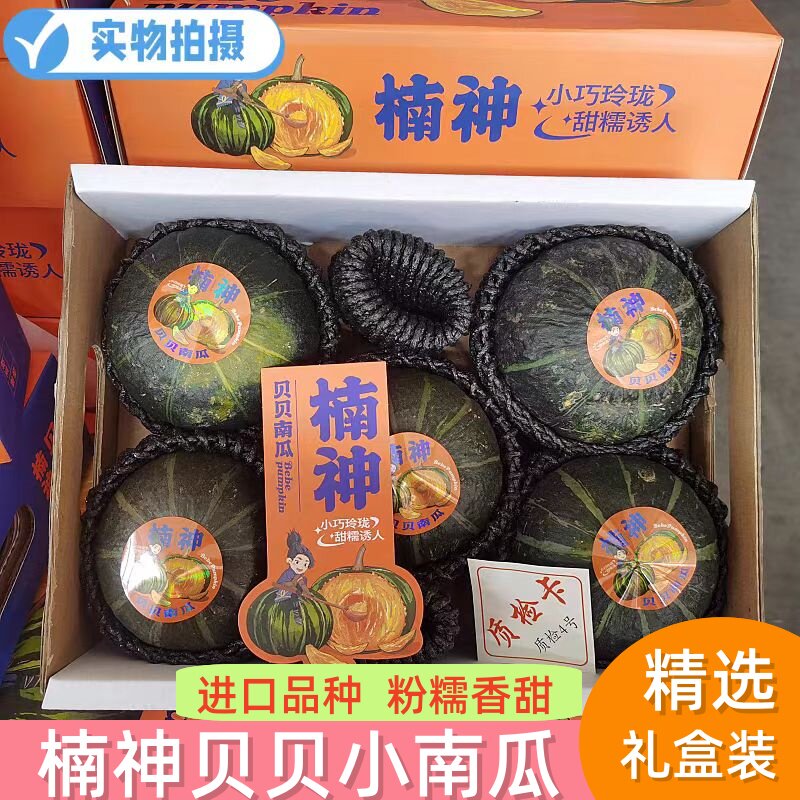 楠神贝贝南瓜礼盒装板栗味惠和一号迷你小南瓜粉糯甜粗粮宝宝辅食