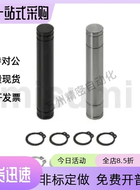 滚轮销轴CNPR5 6 8 10 12 13 14-14 20 25 30 35 40 45 50-F10F20