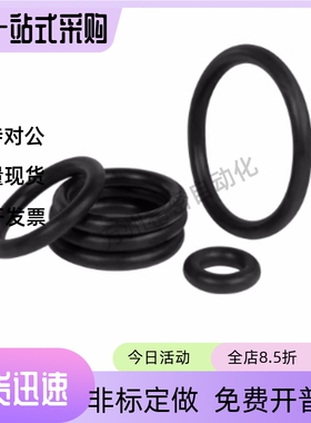 NPB NPSW O型圈NPS NPF NPFH NPEG12 12.5 14 15 16 18 20 21