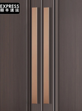 简约加厚不锈钢玻璃门拉手对装实木门大门拉手高端酒店门把手黑色