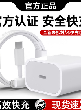 【官方正品】效趣适用於苹果iPad充电器PD30原套装W第7891011代快充头英寸平板10.2老款56正品type-c数据线