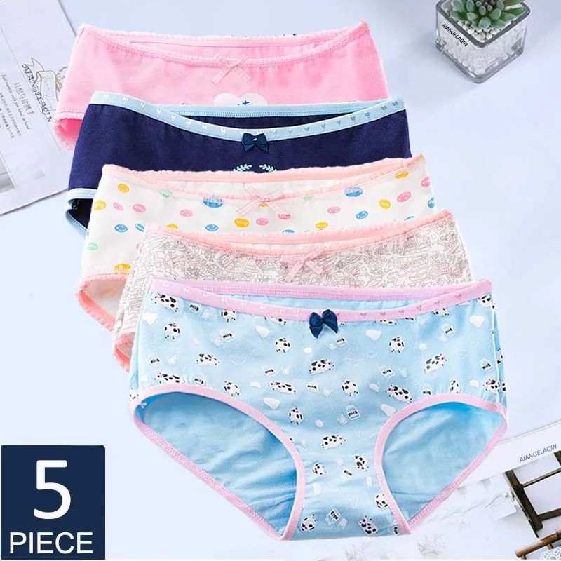 5Pcs Cotton Underwear Women's Panties Plus Size Briefs Girls