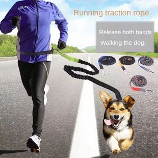 Hand Free Dog Leash for Pet Walking Running Jogging Adjustab