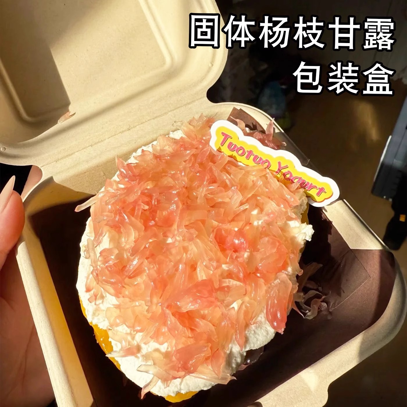 网红固体杨枝甘露打包盒便当蛋糕包装盒甜品纸浆盒子一次性透明