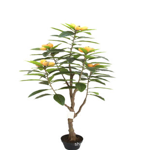 仿真植物枇杷树摄影背景枇杷叶叶子落地盆景造景客厅厂家