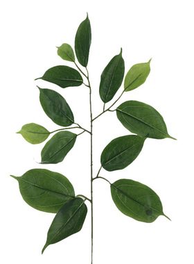 仿真樟树叶子绿植假树叶单枝香樟叶樟子榕叶绿色工程用材厂家