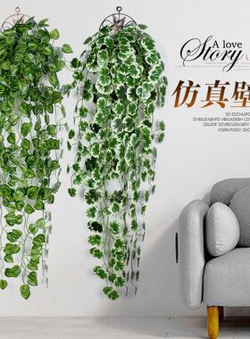 仿真绿萝壁挂花爬山虎吊兰室内装饰植物假花绿植树叶藤条藤蔓