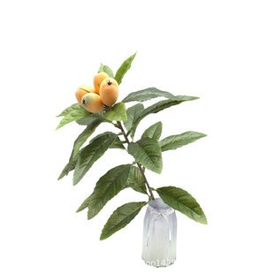 仿真植物假树叶单枝枇杷叶摄影背景枇杷叶子落地盆景客厅