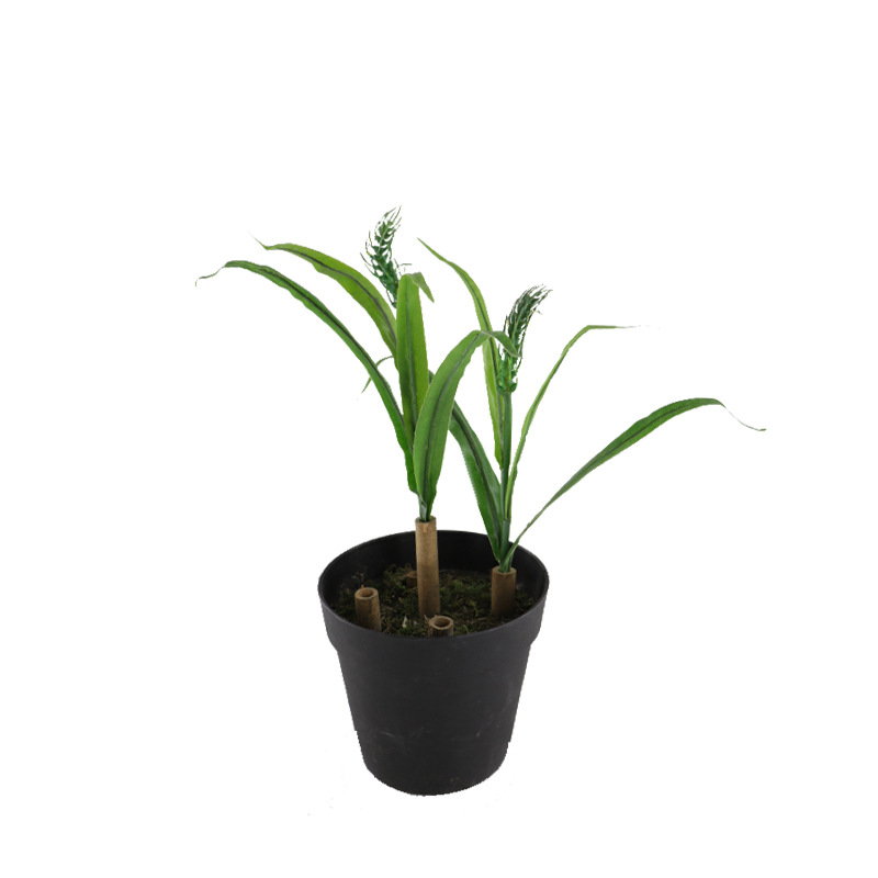 仿真绿植假树叶春色小麦摄影背景小麦苗玉米苗屏风工程装饰