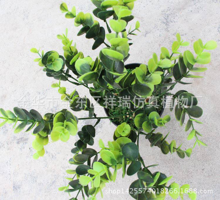 仿真树叶植物草迷你把束盆栽金钱草优加利豆瓣草落地摆放绿植直销