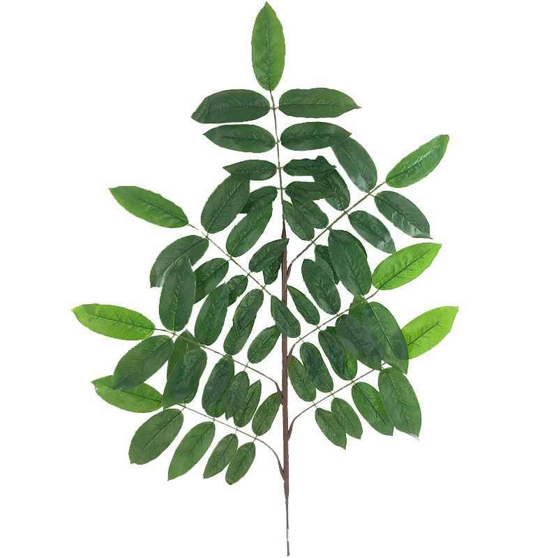 仿真水果树叶植物大枝核桃叶杆可焊接吉利叶拍摄家居装饰厂家