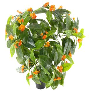 仿真过胶绿植室内0.8米丹桂花枝叶白果公孙树叶博物馆厂家