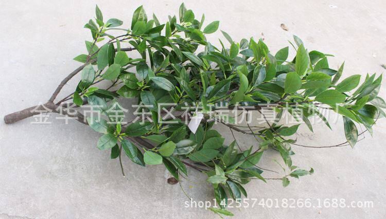 仿真植物单杆贵定云雾古茶叶树红茶绿茶工程DIY屏风装饰摆设