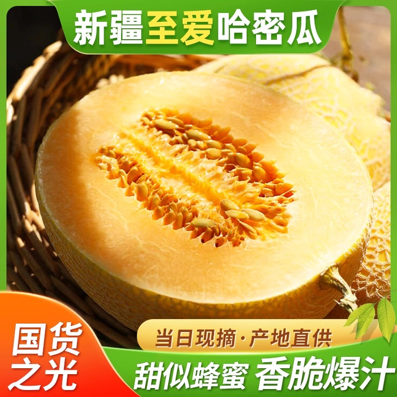 新疆吐鲁番至爱哈密瓜现摘现发网纹蜜瓜一箱正当季宗新鲜水果