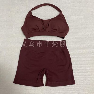 DFYNE欧美无缝露背挂脖运动背心女高弹消光锦纶瑜伽文胸短裤套装