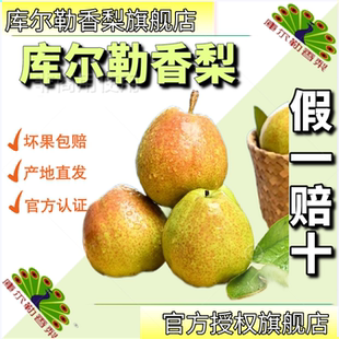 新疆库尔勒香梨官方旗舰店正宗新鲜大果当季孕妇果整箱全母梨5斤