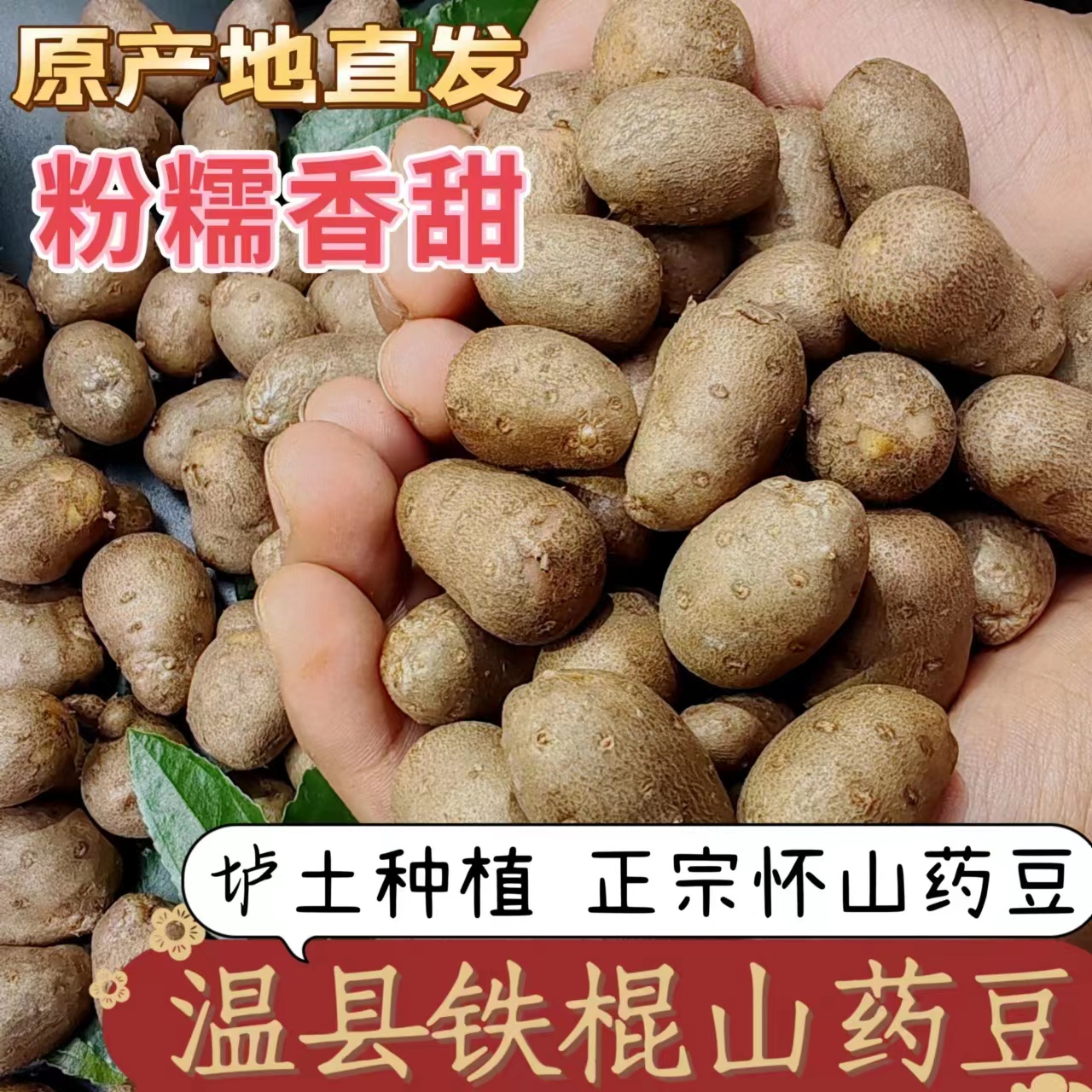 山药豆正宗铁棍豆河南温县山药蛋粉糯香甜怀山药垆土怀山药豆蔬菜