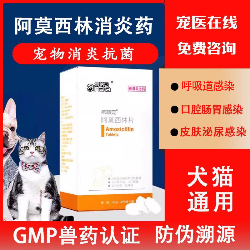 狗阿莫西林消炎药呼吸道感染抗菌