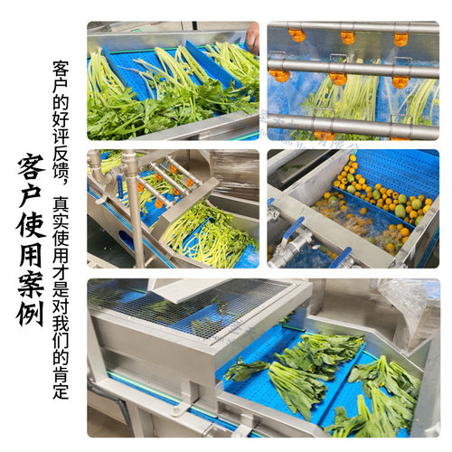 大型毛菜净菜加工流水线 软包装蔬菜风干生产线 整颗菜清洗流水线