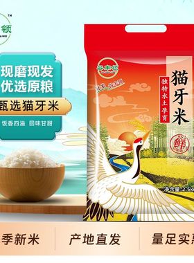 新米南方大米正宗长粒猫牙香米蛋炒饭米长粒香米煲仔饭猫牙米