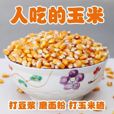 老玉米粒人吃食用5斤 干玉米粒磨玉米面 打玉米汁豆浆 可发芽
