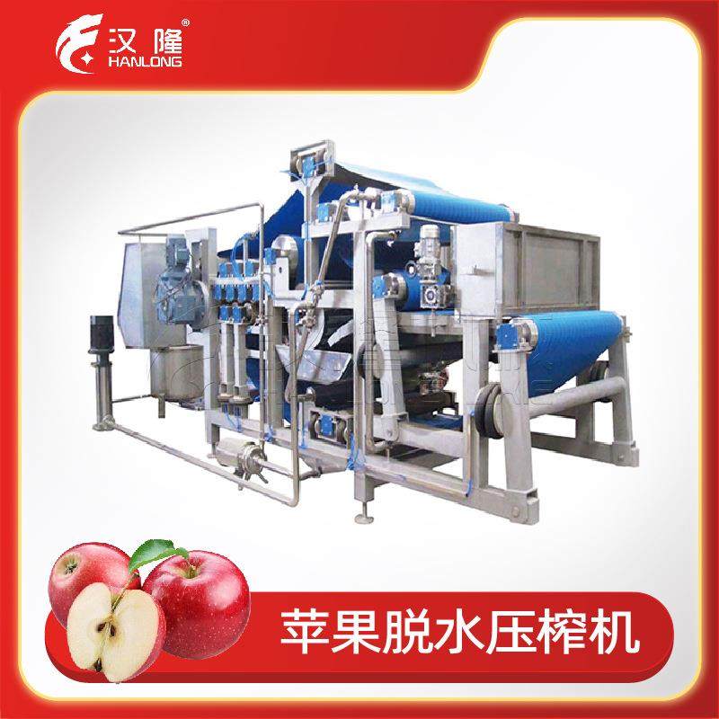 厂家直销DYJ系列大型工业带式榨汁机苹果蔬菜水果全自动脱水压榨