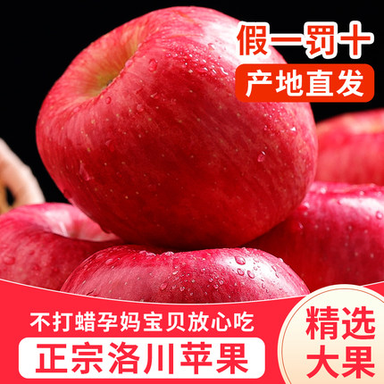 源头直发正宗陕西洛川苹果新鲜10斤当季红富士大脆整箱一级包邮