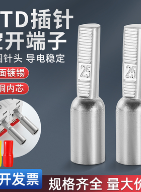 C45紫铜镀锡插针DTA/DTD空开断路器冷压铜线鼻子接线端子10/16/25