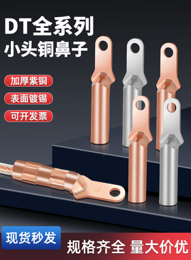 DT小头铜鼻子紫铜接头塑壳断路器接线端子25/35/50/70/95/120/150
