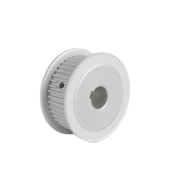 同步轮TAAS5M-18 20 22-100 150 250-P6 P8 P10 P12 N8 N10N12N16