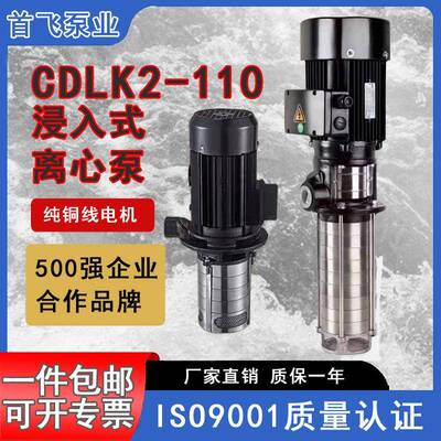 首飞泵业CDLK2-110立式轻型多级泵浸入式离心泵不锈钢高扬程南方