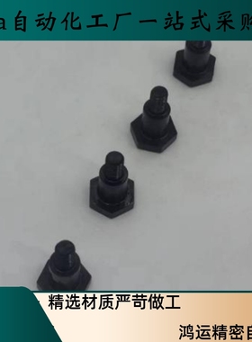 外六角支点螺栓FCBDBL10 12-5 6 7 8 9 10 12 13 15 20